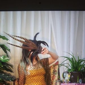 Meet your Posher, Steafene